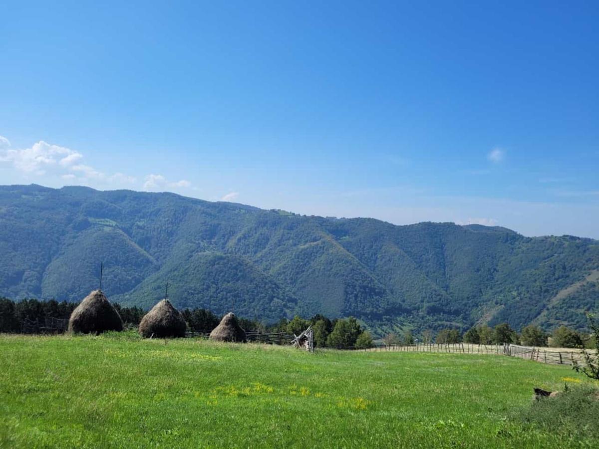 Готель Mateo Transalpina Sasciori Екстер'єр фото